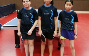 5c44339ed246f_190120194.jpg